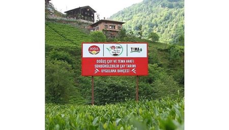 Doğuş Çay ve TEMA Vakfı’ndan sağlıklı topraklar ve sürdürülebilir çay tarımı için ortak adım