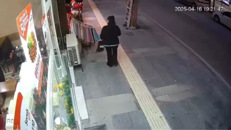 Elazığ’da Oyuncak Hırsızlığı: Bayan Kameralara Yakalandı