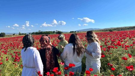 Elazığ’da oluşan doğal gelincik tarlasına vatandaşlar akın etti